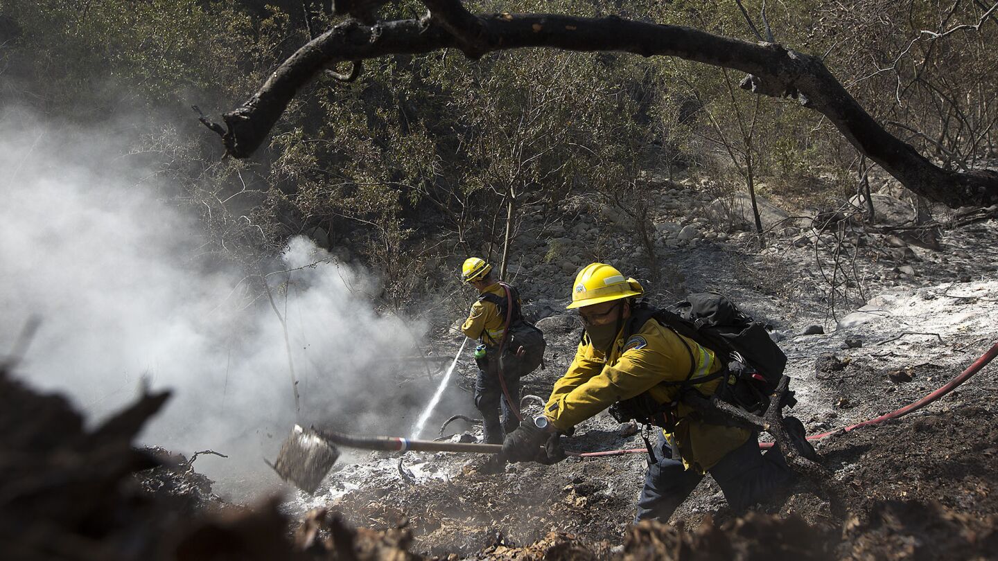 Orange County firefighters work to put out embers in heavy mulch in El Capitan Canyon while battling the Sherpa fire in Santa Barbara County on June 17, 2016.