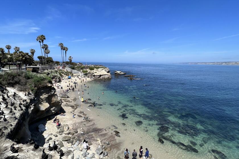La Jolla's process to potentially incorporate differs from unincorporated communities.
