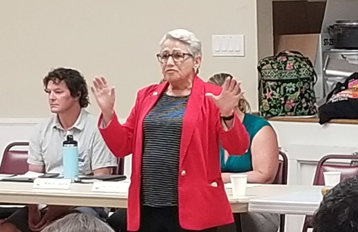 District 2 City Council member Jennifer Campbell talks about homelessness and short-term vacation rentals at OB Town Council’s meeting Oct. 23 at the Masonic Lodge. She can be reached at (619) 236-6622 or jennifercampbell@sandiego.gov