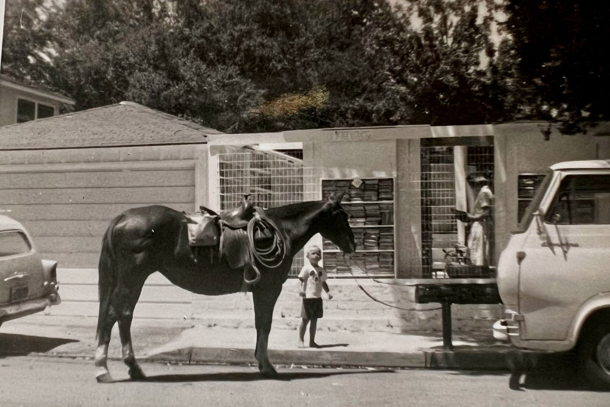 A black and white photo of a horse hitched outside Bart's Books.
