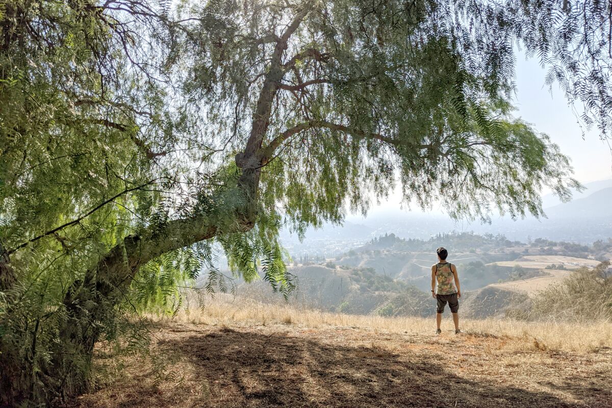 A hiker looks out from San Dimas Canyon hike