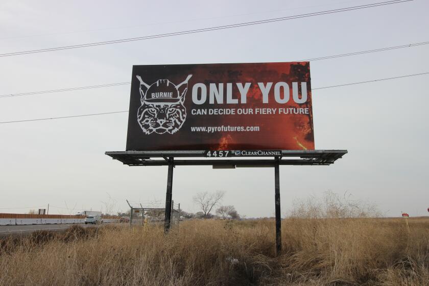The Burnie the Bobcat billboard installed last week off Interstate 80 between Sacramento and Davis.