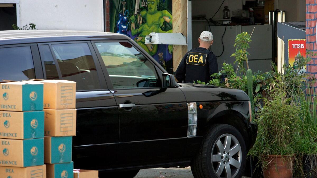 Agentes federales y oficiales de policía de Los Ángeles allanan un dispensario de marihuana medicinal en Culver City, llamado Orgánica Collective, en 2010 (Ricardo DeAratanha / Los Angeles Times).