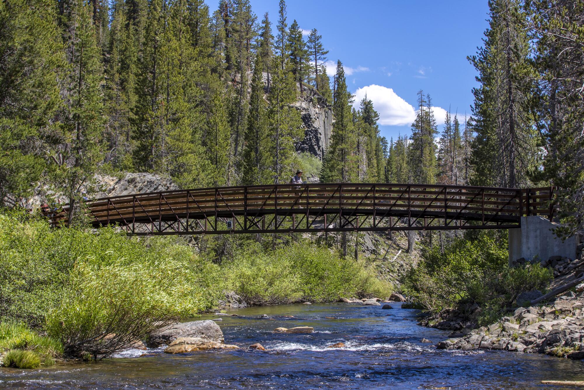 A person on a bridge gazes down at the water.