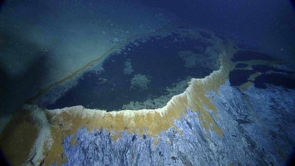 Beautiful and intricate crystals of barite float in this brine pool.