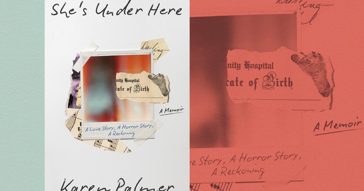 Karen Palmer’s memoir particulars abuse, forgery, kidnapping, breakdown Karen Palmer’s memoir particulars abuse, forgery, kidnapping, breakdown