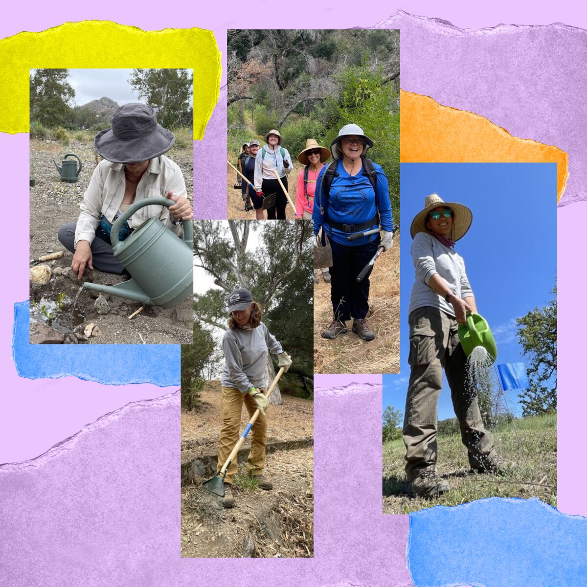 Four photos showing people hoeing and using watering cans outdoors.