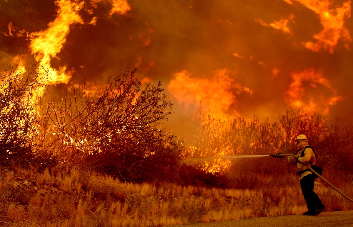 Flames leap among vegetation on the side of a road; a firefighter in heavy gear aims a hose.
