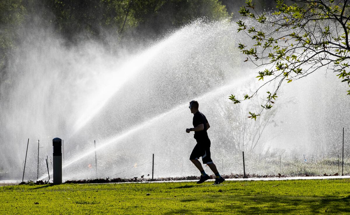 A jogger runs past sprinklers.