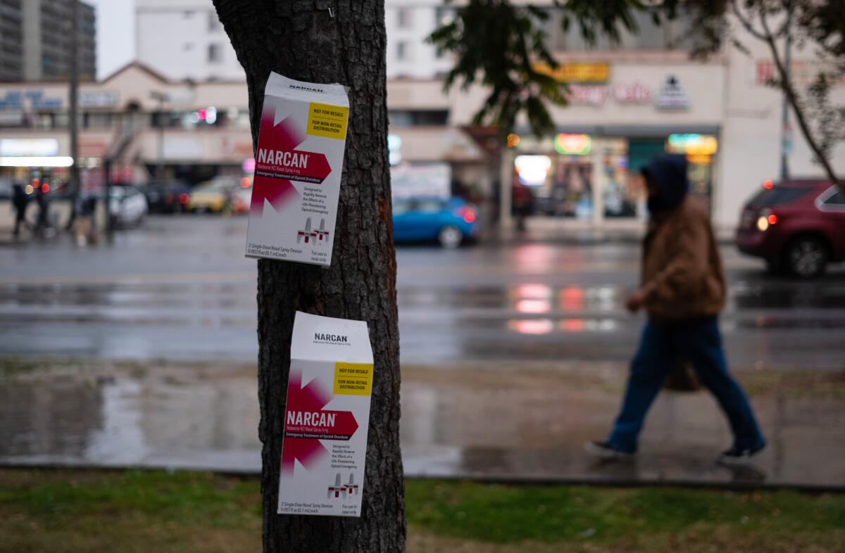 Narcan cajas de software a los árboles alrededor de Mtout en MacRai en noviembre de 2023.