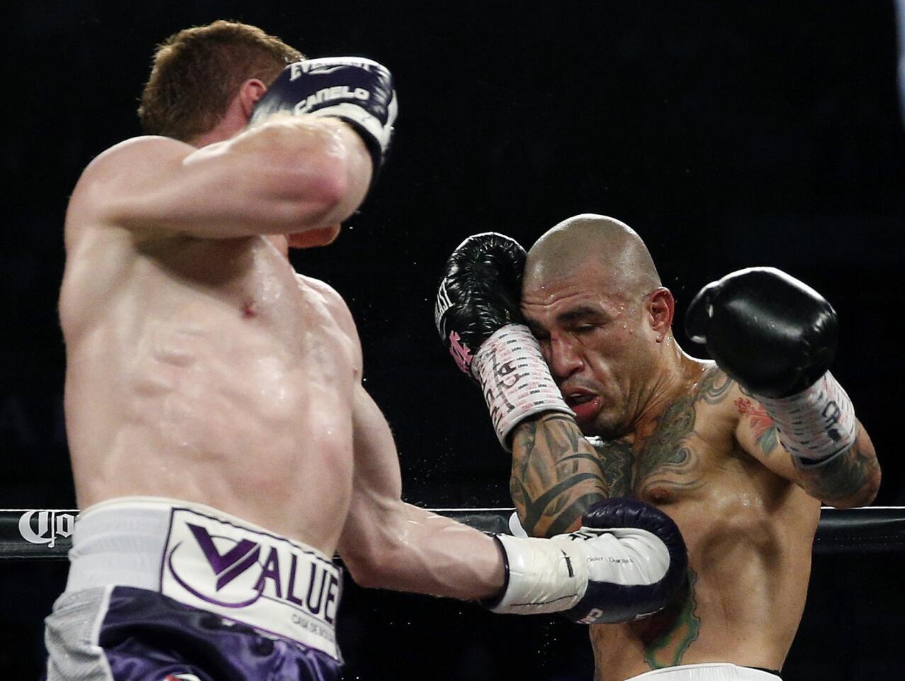 Miguel Cotto v Canelo Alvarez