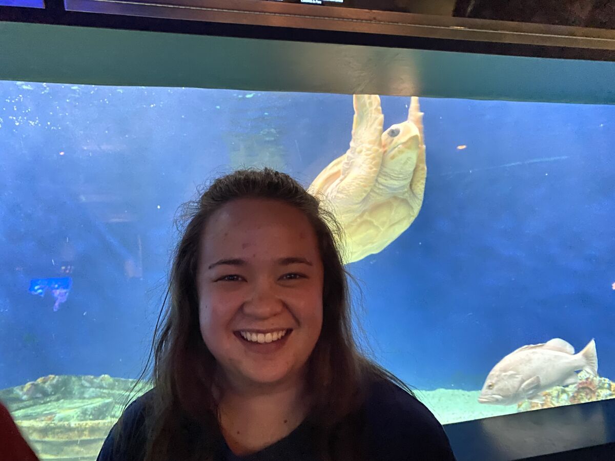 Aquarist Kaelie Spencer cares for the sea turtle.