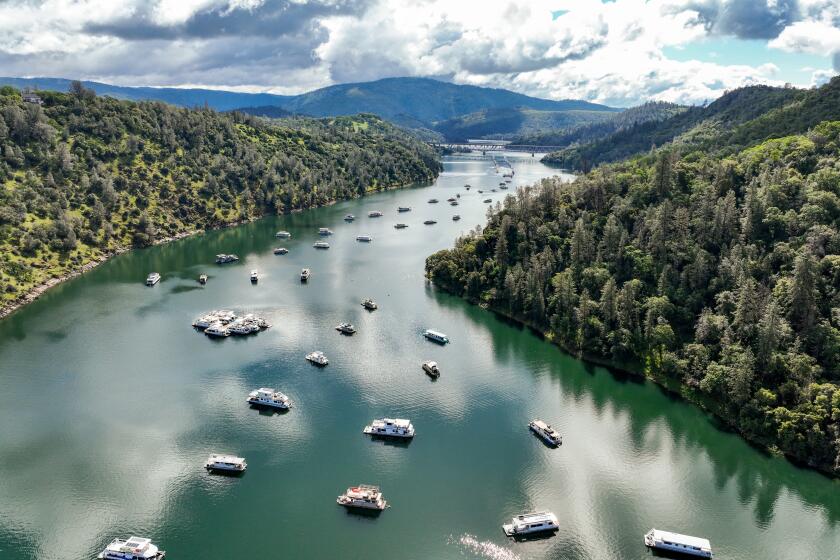 A drone view of Lime Saddle Marina on Lake Oroville in Butte County, California. Photo taken April 26, 2024. On this date, the water storage was 3,391,378 acre-feet (AF), 96 percent of the total capacity. Sara Nevis / Calif. Dept. of Water Resources