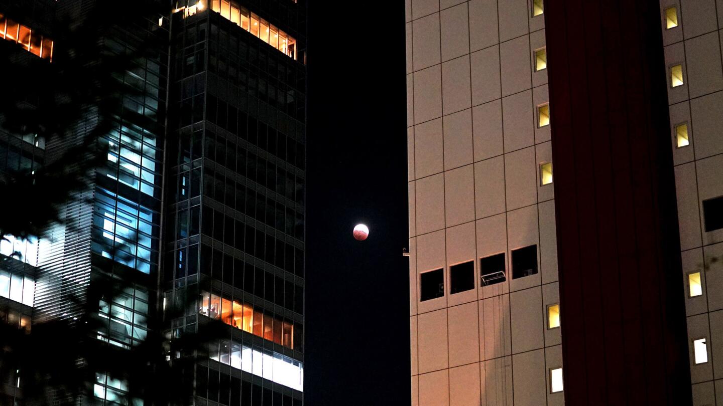 'Blood moon' | Total lunar eclipse of October 2014