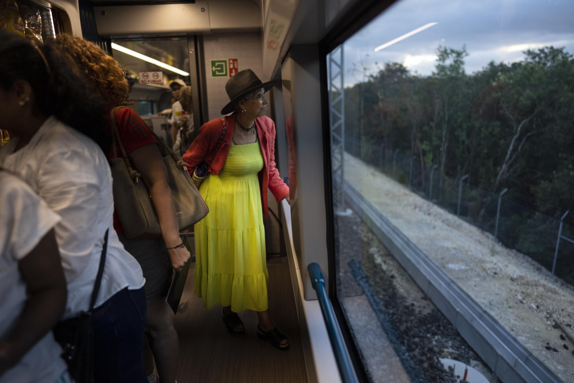 Ein Passagier blickt aus dem Fenster eines Zugwaggons auf die vorbeiziehende Dschungellandschaft.