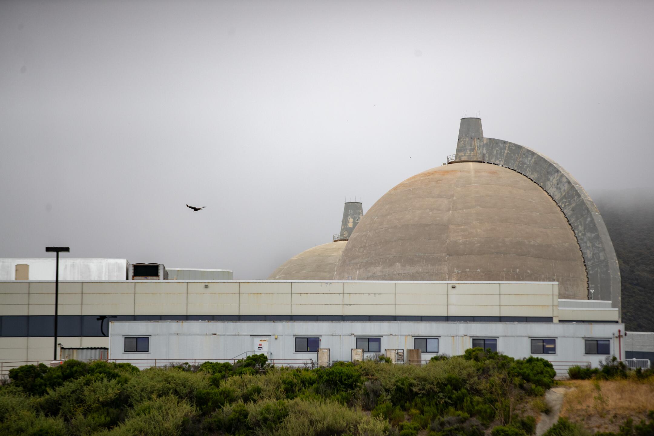A new generation finds promise in nuclear energy 2