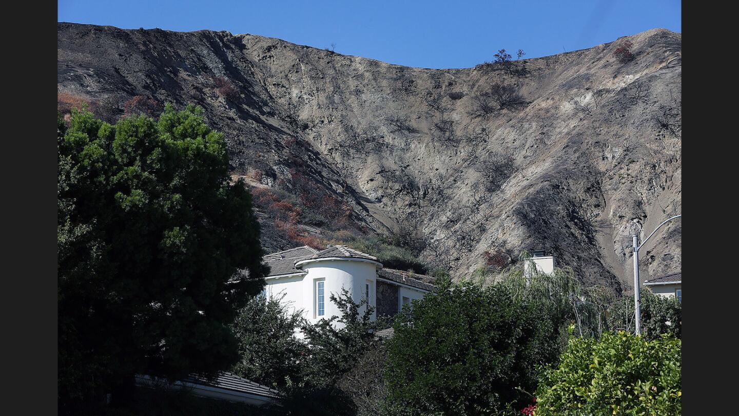 Burned out hillsides loom over a neighborhood on Castleman Lane in Burbank with burned hillsides behind the houses on Thursday, November 9, 2017. Burbank is working with the Los Angeles County Department of Public Works and the U.S. Department Agriculture to help residents on how to prepare for potential mudslides, a threat caused by the summer wildfires.