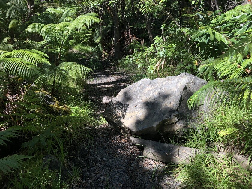 Kilauea Iki Trail