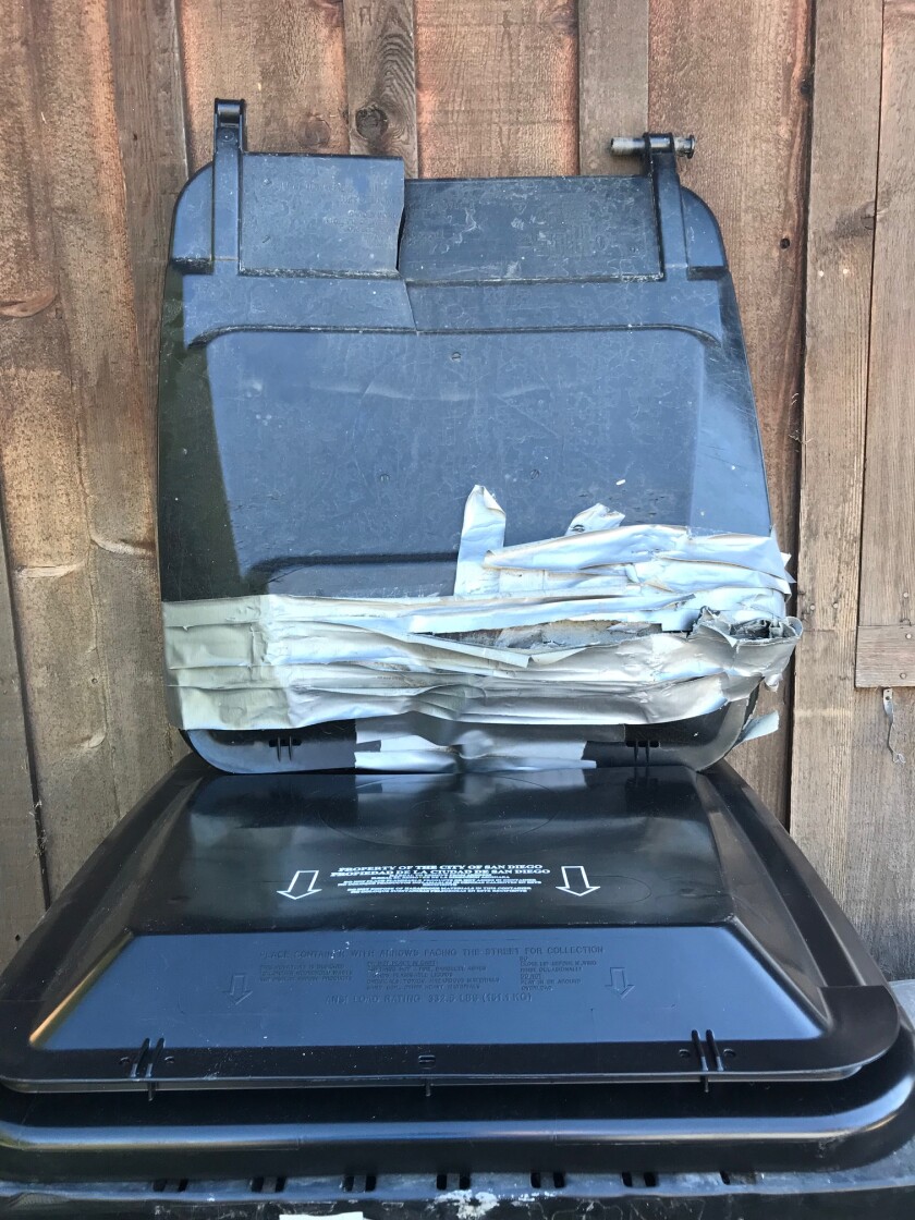 Inga was pleasantly surprised to learn that you can get a new lid for your city trash bin for free — with some catches.