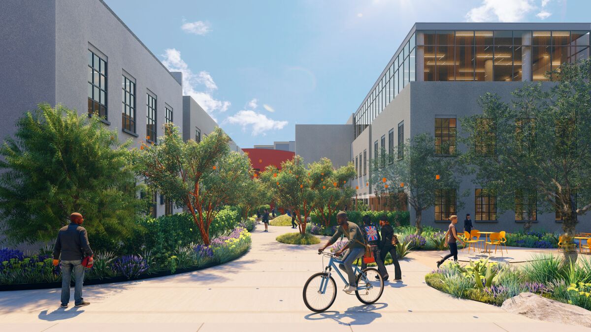 People walk and bike among walkways and shrubs between two buildings.