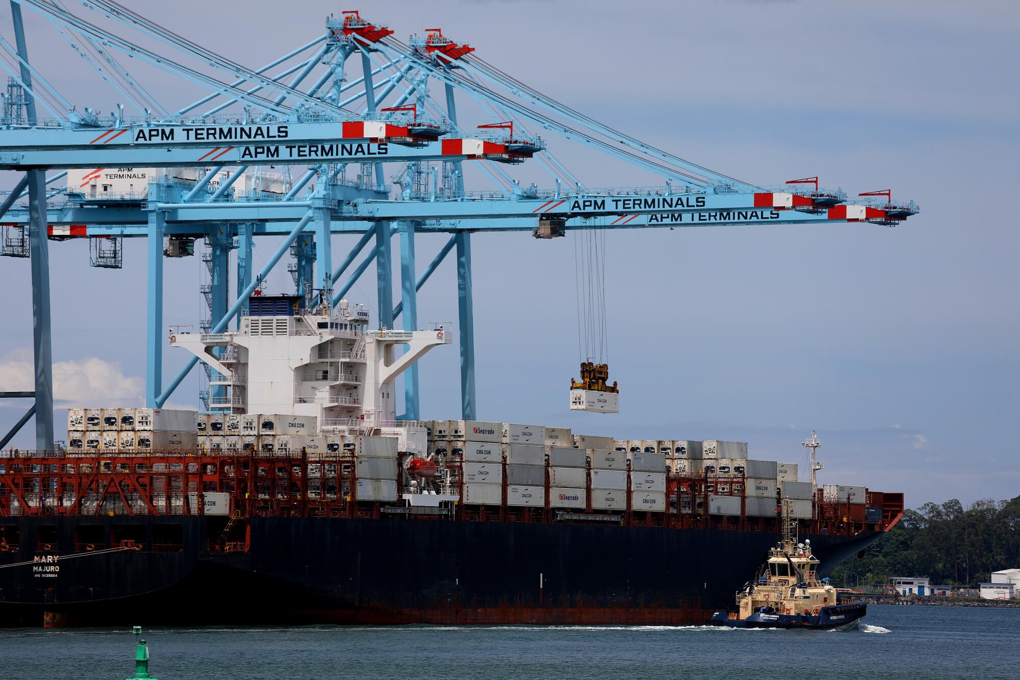 Shipping containers near blue cranes