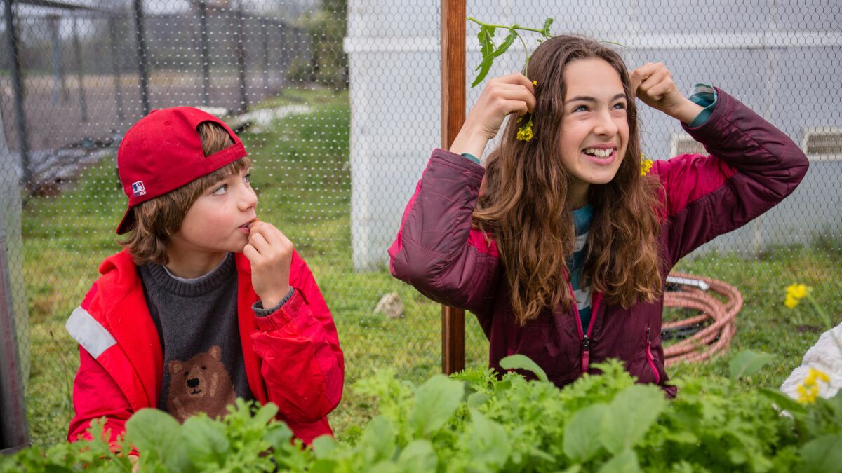 Zev Grifalconi Mandel, 9, and Allie Grifalconi Mandel, 12, play around in the North Fork School Garden next to North Fork Elementary.