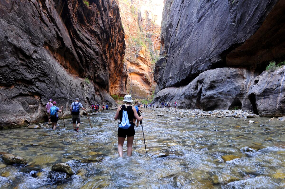 Hikers wade through water with sheer rock walls on either side.