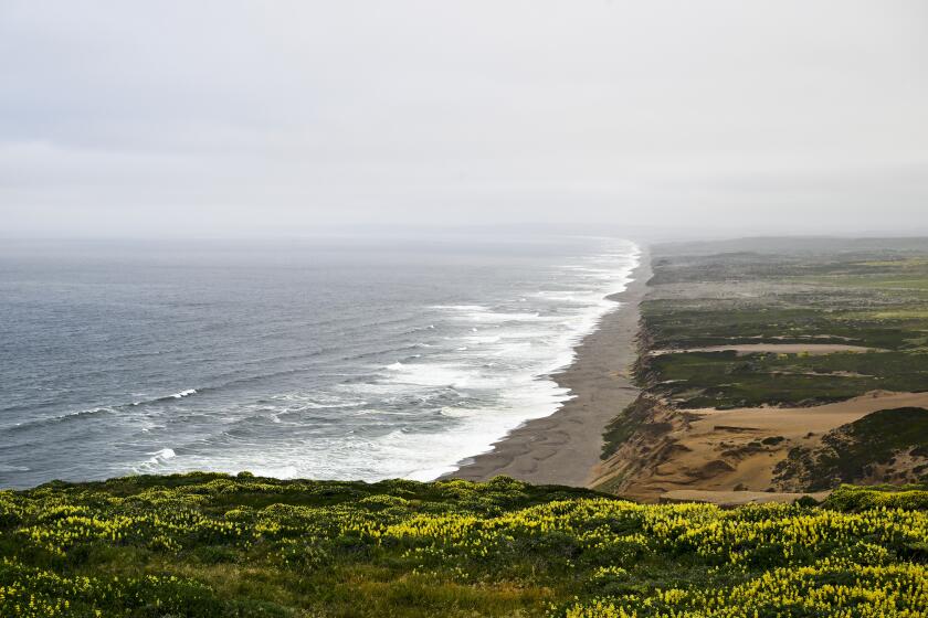 CALIFORNIA, UNITED STATES - MAY 31: An aerial view of Point Reyes National Seashore in Inverness in California, United States on May 31, 2023. (Photo by Tayfun Coskun/Anadolu Agency via Getty Images)
