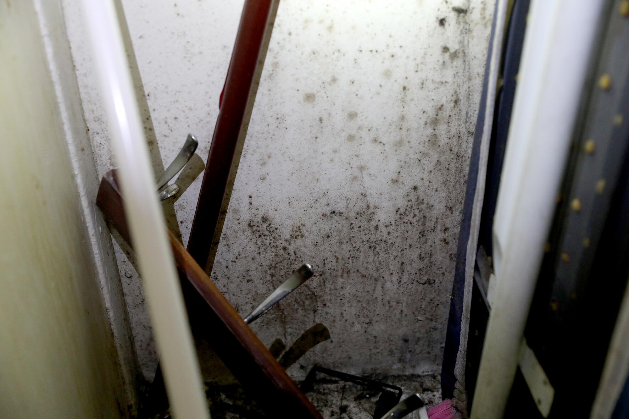 FunGuy Mold Inspections | Mold and sewage plague South L.A. apartments even after inspections, tenants say What appears to be mold in a kitchen closet at the Chesapeake Apartments.