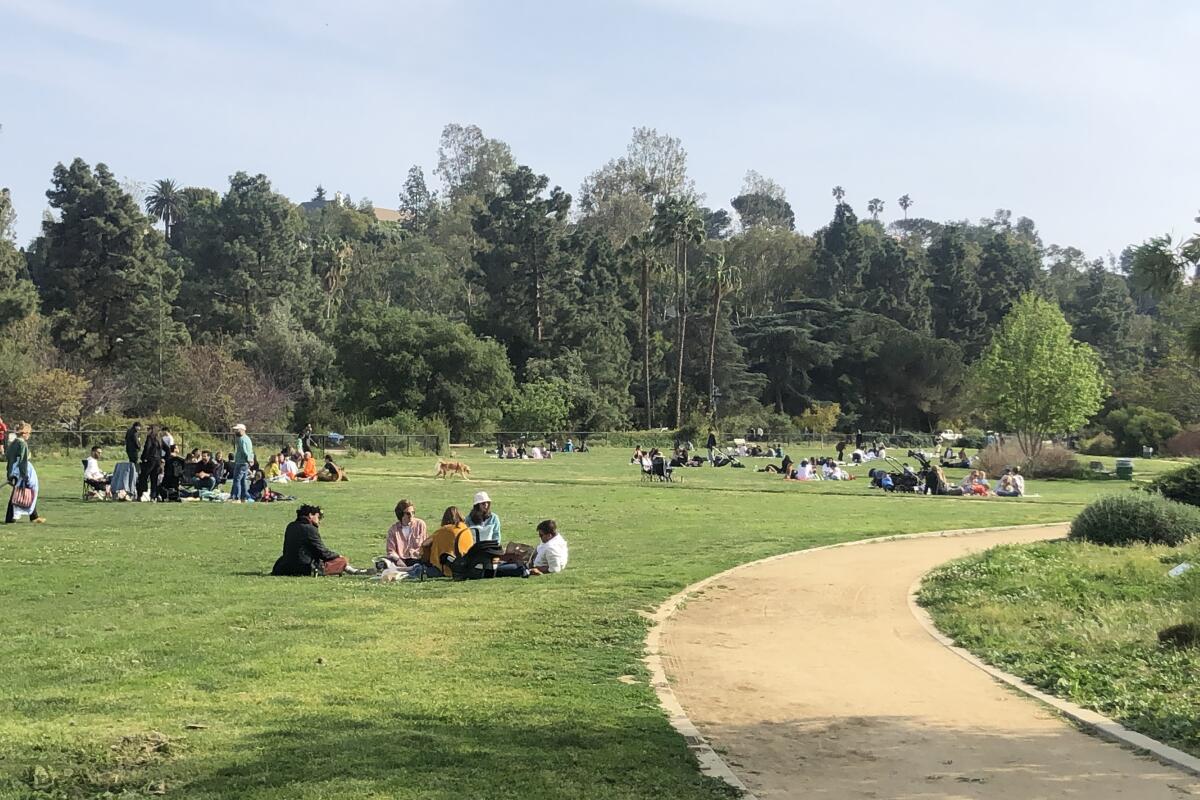 People sitting on the grass near a curved path.
