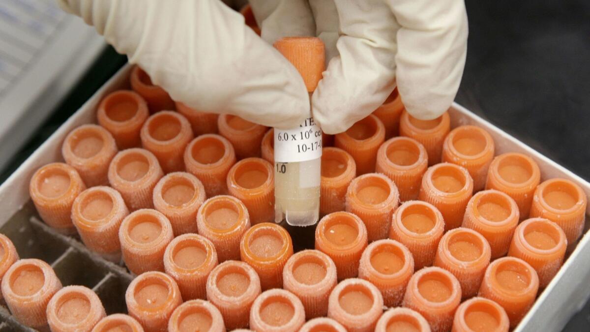 Frozen vials of human stem cells at a University of Michigan lab in 2008.