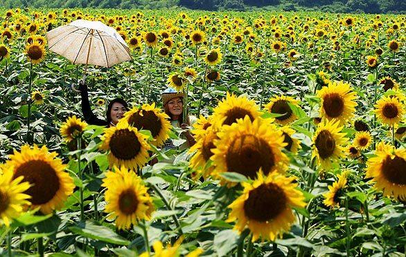 Thursday: The day in photos - Japan