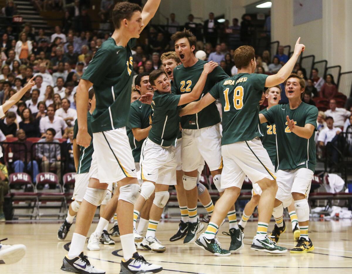 The Mira Costa boys' volleyball team celebrates after beating Loyola in a match April 12, 2013.