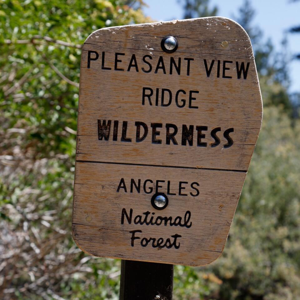Angeles National Forest hike