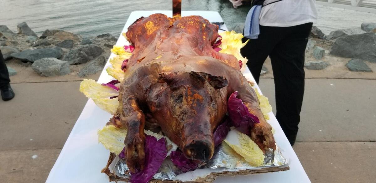 A large roast pig on display offers a sneak peek at dinner.