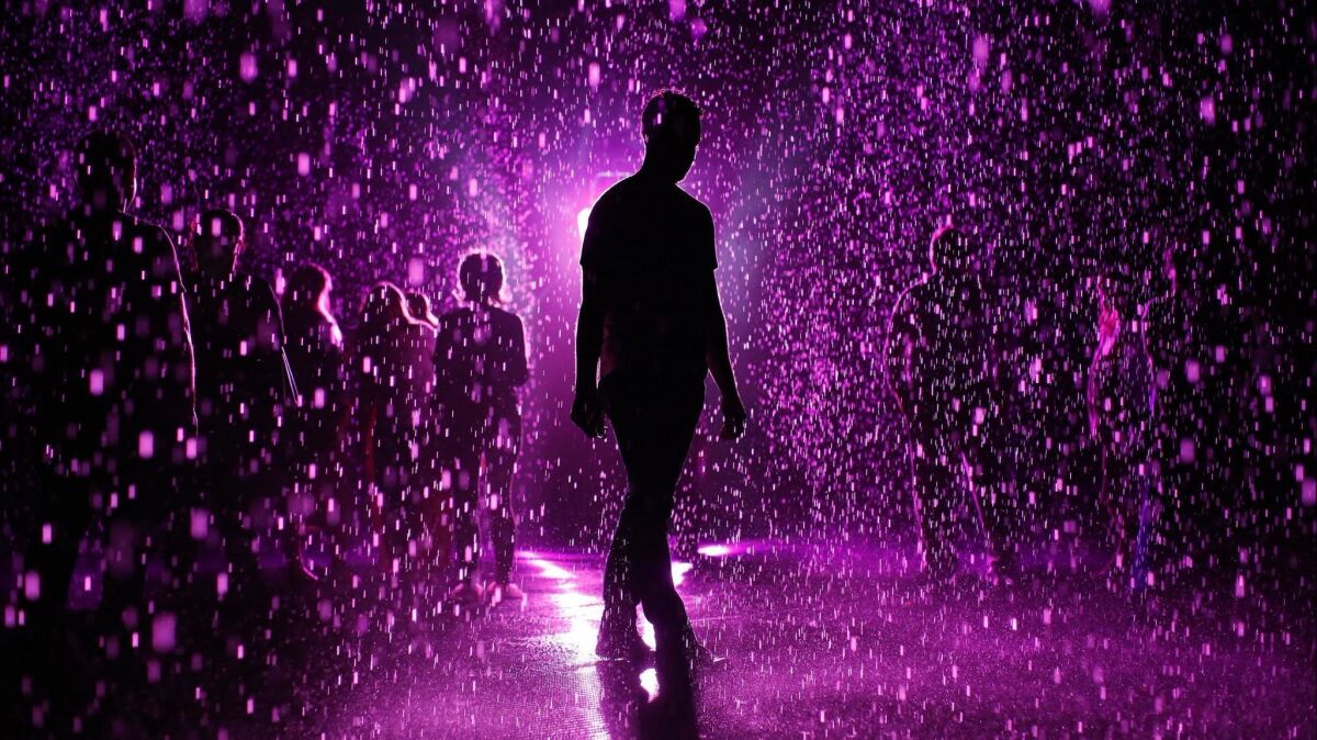 In a tribute to Prince, the Los Angeles County Museum of Art decided that the water in the popular Rain Room installation would be turned purple.