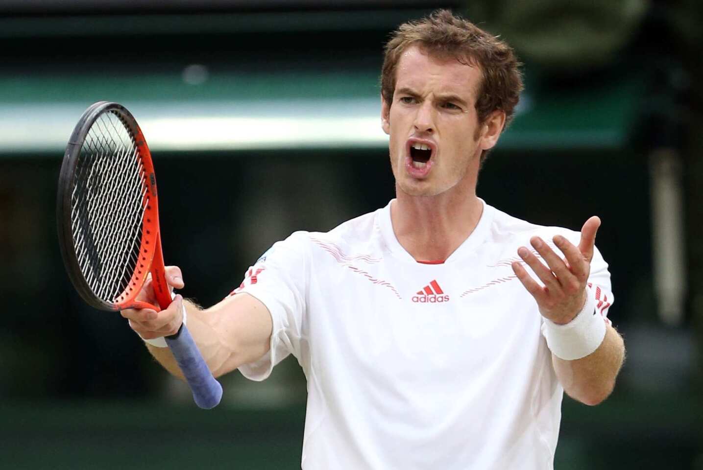 Andy Murray