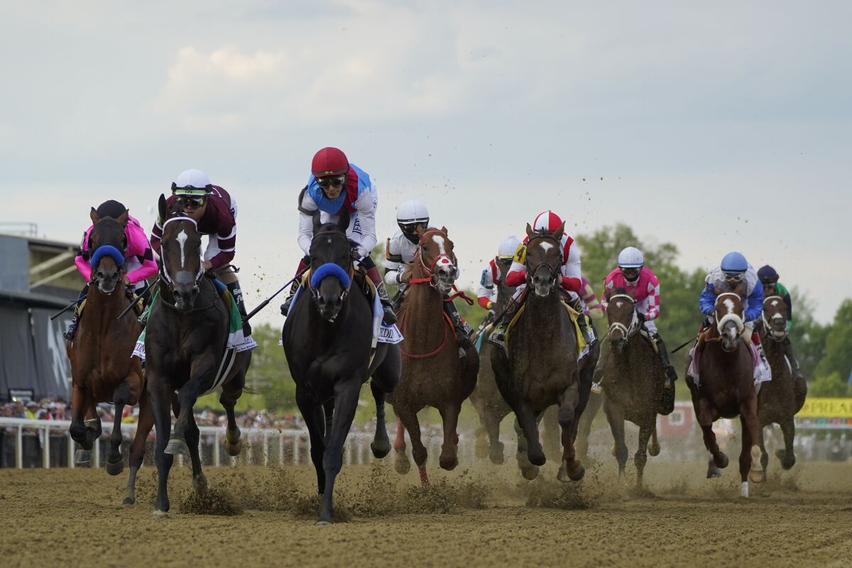 John Velazquez atop Medina Spirit, center left, leads the pack out of the gates during the 146th Preakness Stakes horse race at Pimlico Race Course, Saturday, May 15, 2021, in Baltimore. (AP Photo/Julio Cortez)