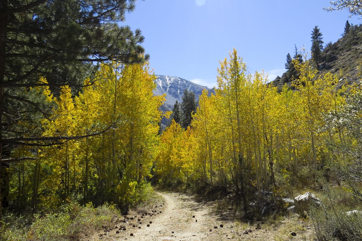 Photo by Scott Turner for Modern Hiker