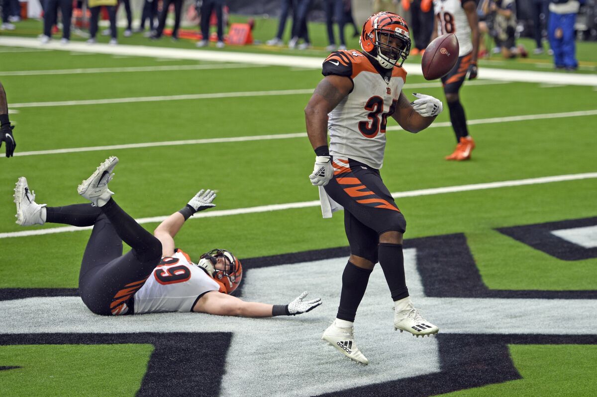 Cincinnati Bengals running back Samaje Perine celebrates after scoring a touchdown against the Houston Texans.