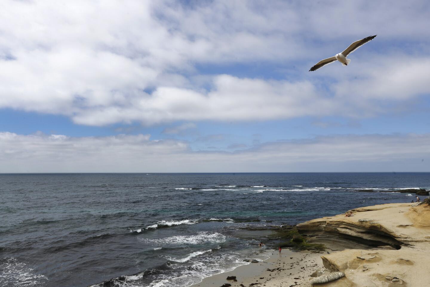 A moment of quiet at a beach in La Jolla.