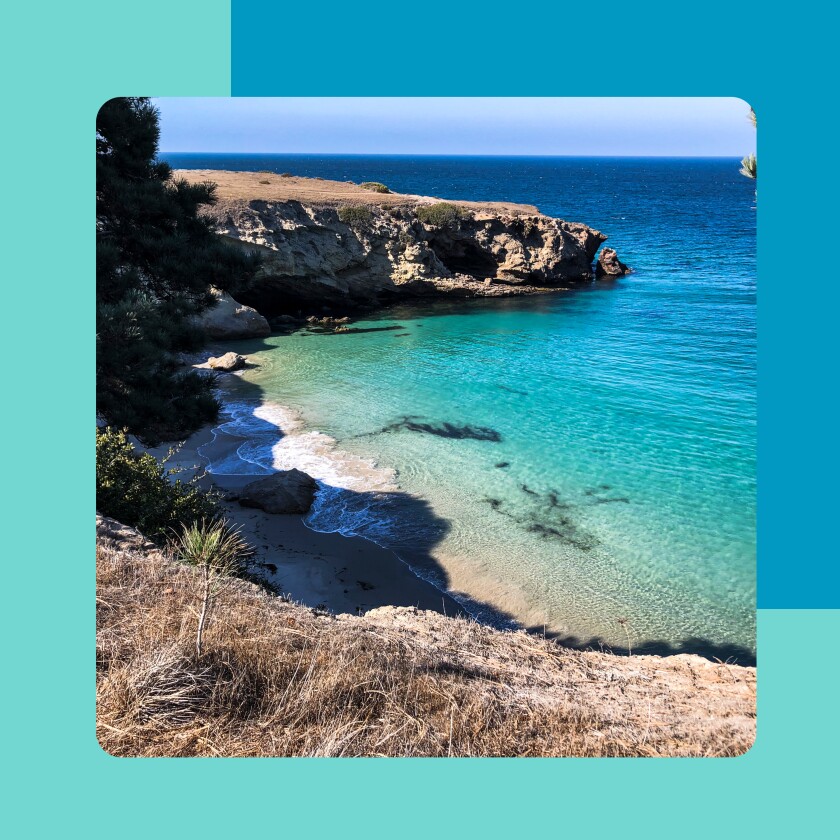 A photo of a beach on a blue background