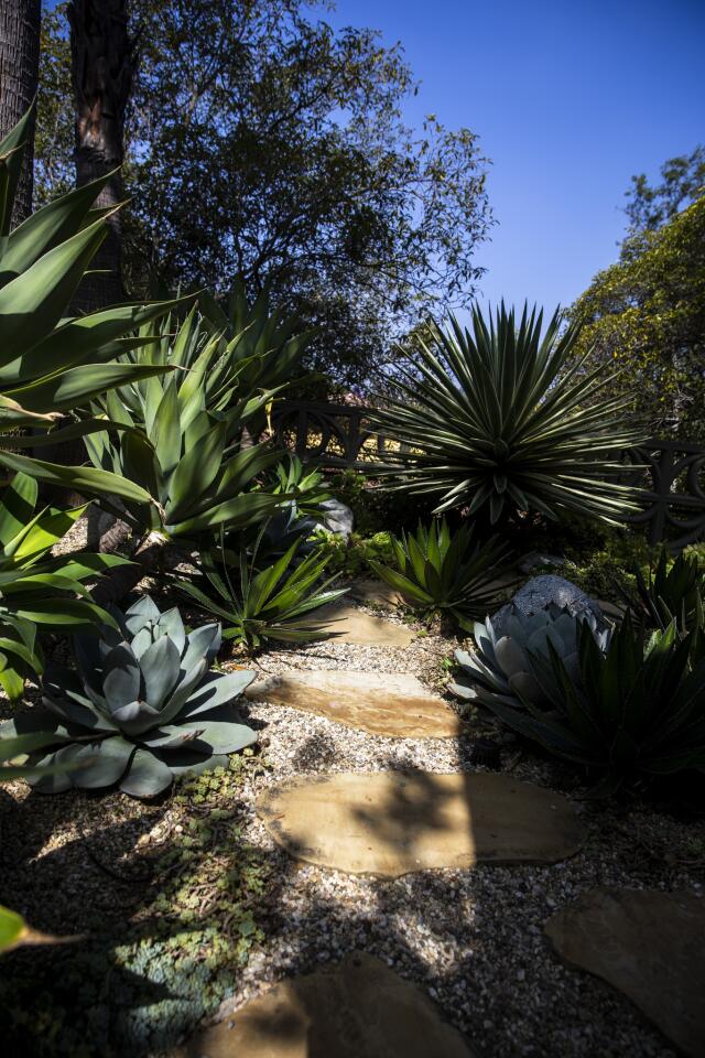 A new drought-friendly garden for their new Mid-century Modern home