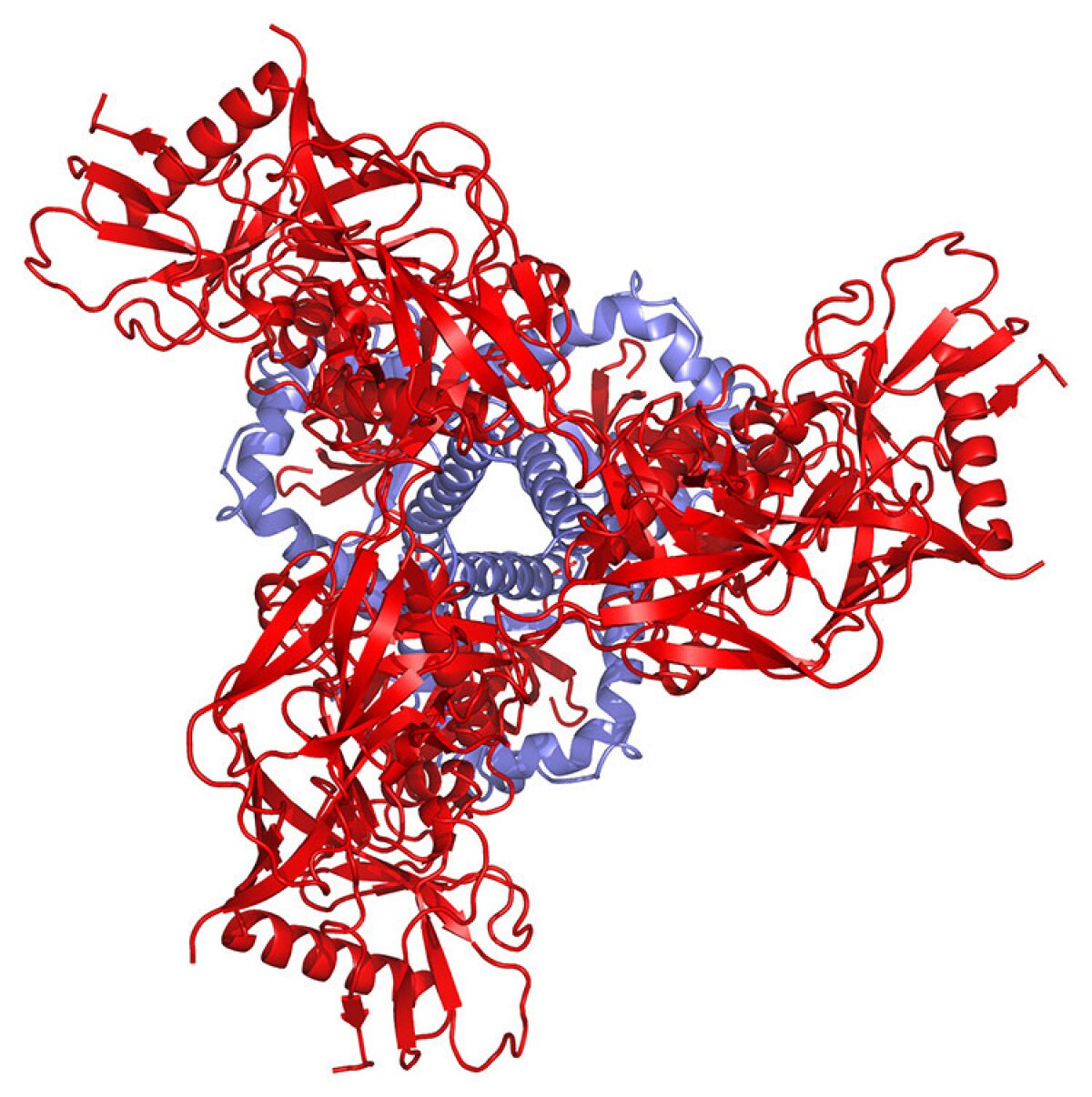 This schematic depicts the protein structure of the pre-fusion HIV spike as viewed from above. New insights into the structure of HIV's protein spikes have raised hopes for a vaccine that can stop the virus that causes AIDS. A clinical trial of one vaccine candidate will begin in South Africa in 2016.