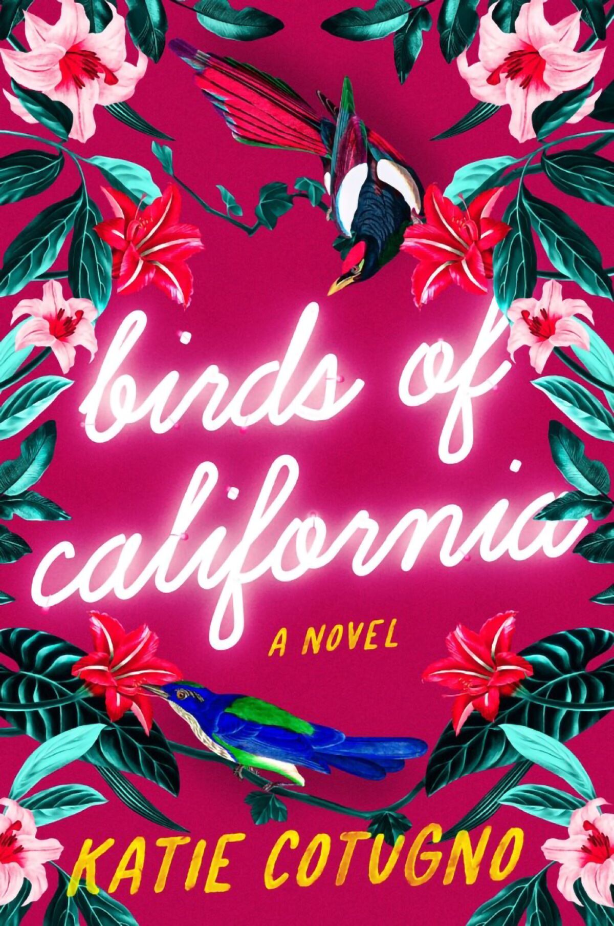 Birds of California book cover