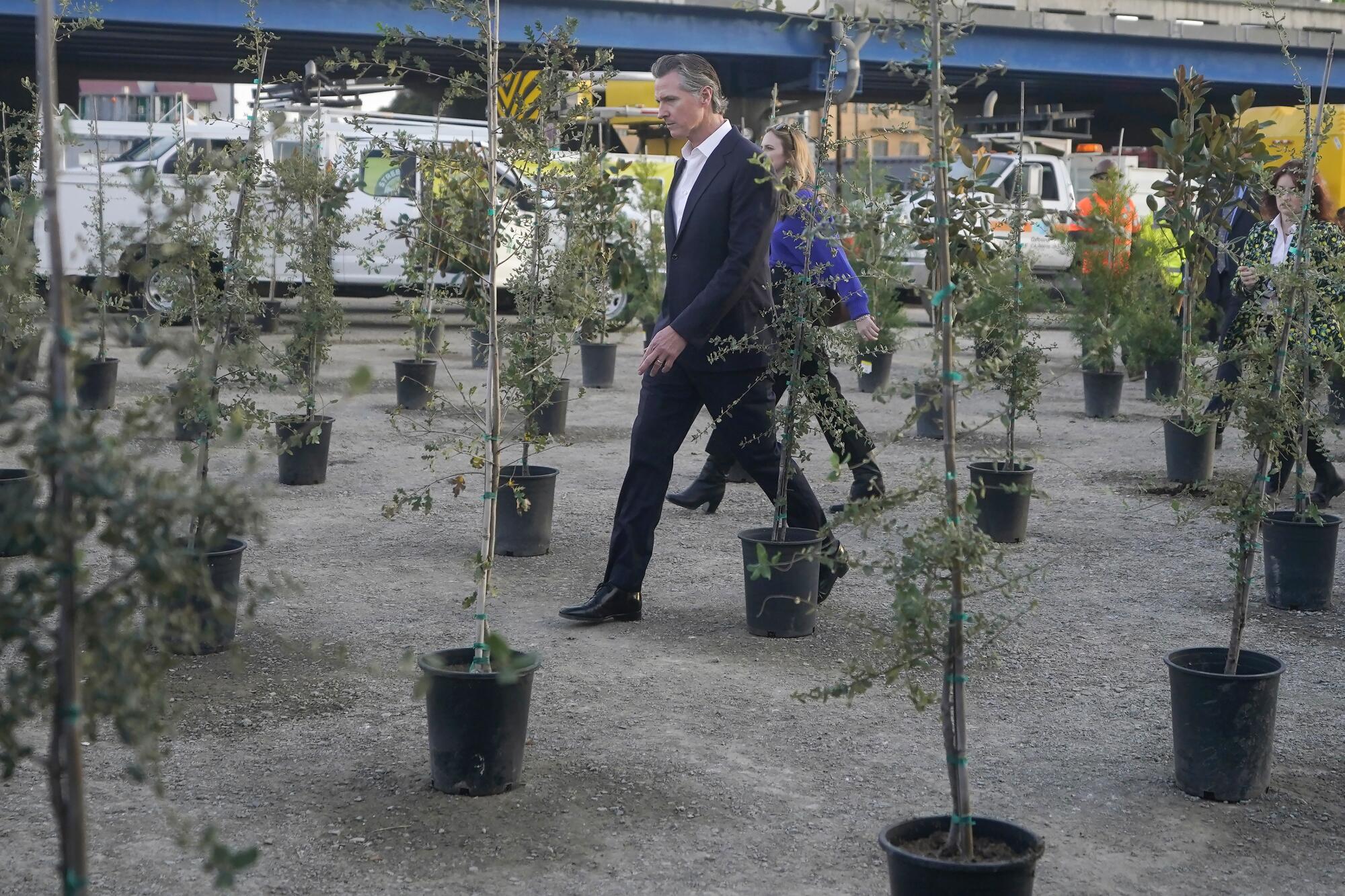 California Gov. Gavin Newsom walks among saplings in pots to be planted during a Clean California event.