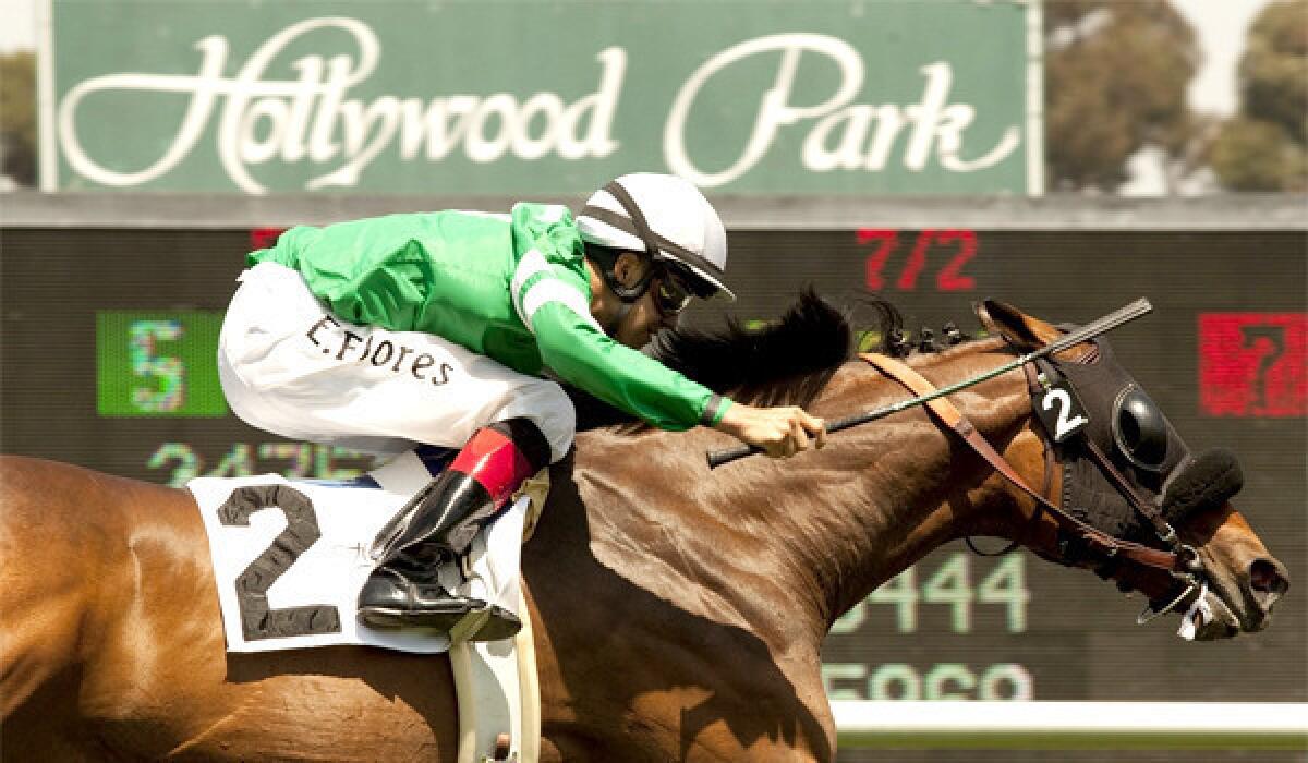 The horse races at Hollywood Park will cease after the race track closes its doors for good on Dec. 22.