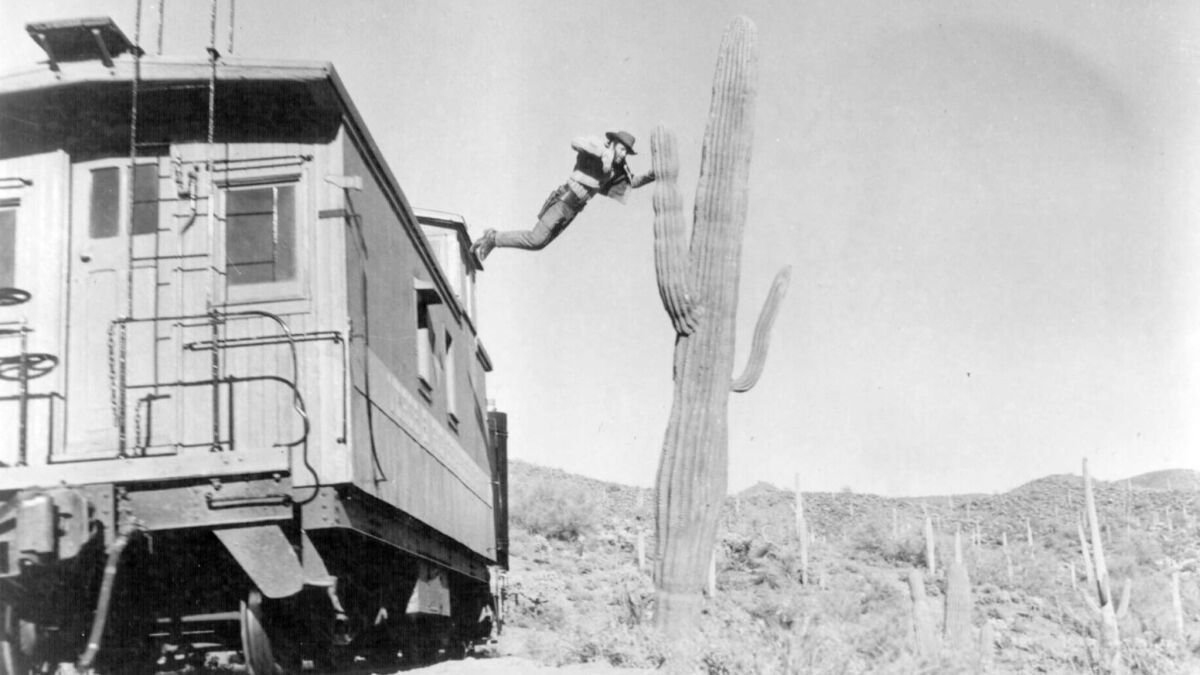 Loren Janes leaps from a moving train onto a clean-shaven cactus in "How the West Was Won." (MGM)