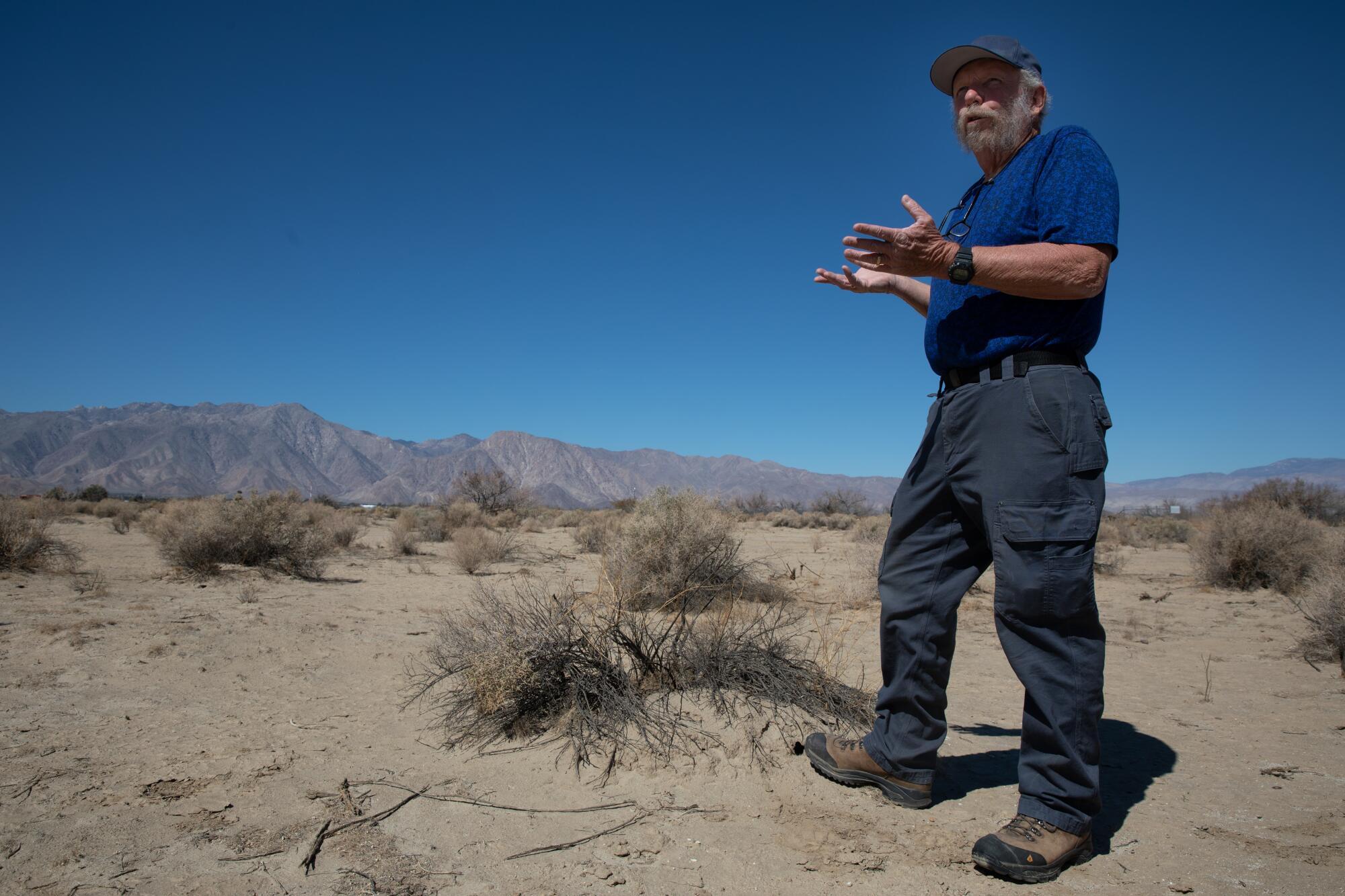 Mark Jorgensen stands near a struggling saltbush in the Anza-Borrego Desert State Park on Tuesday, March 8, 2022.