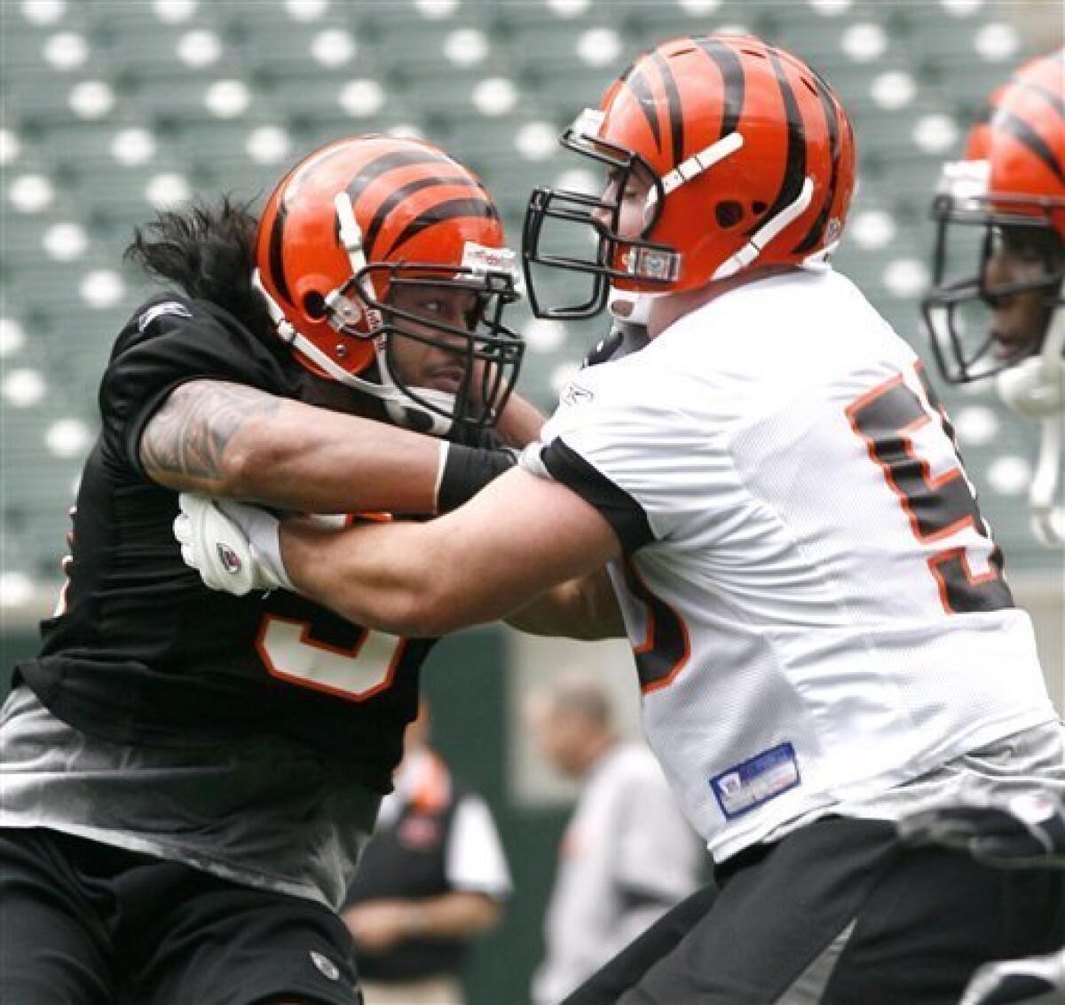 Bengals fans take to LB Maualuga - The San Diego Union-Tribune